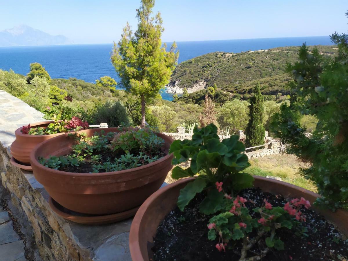 Villa Athos 萨尔蒂 外观 照片